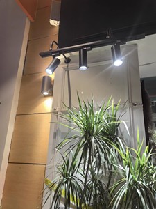 Dimmable Full Spectrum LED Track Grow Light Track / Recessed / Wall Mount for Indoor <strong>Agave</strong>, Monstera, Cacti &amp; Caudex Plants - Product Image 4