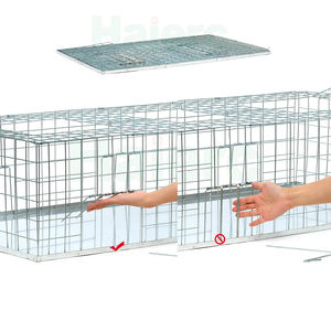 Piège à pigeons Haierc, cage à oiseaux pliable, cage à pigeons galvanisée - Product Image 2
