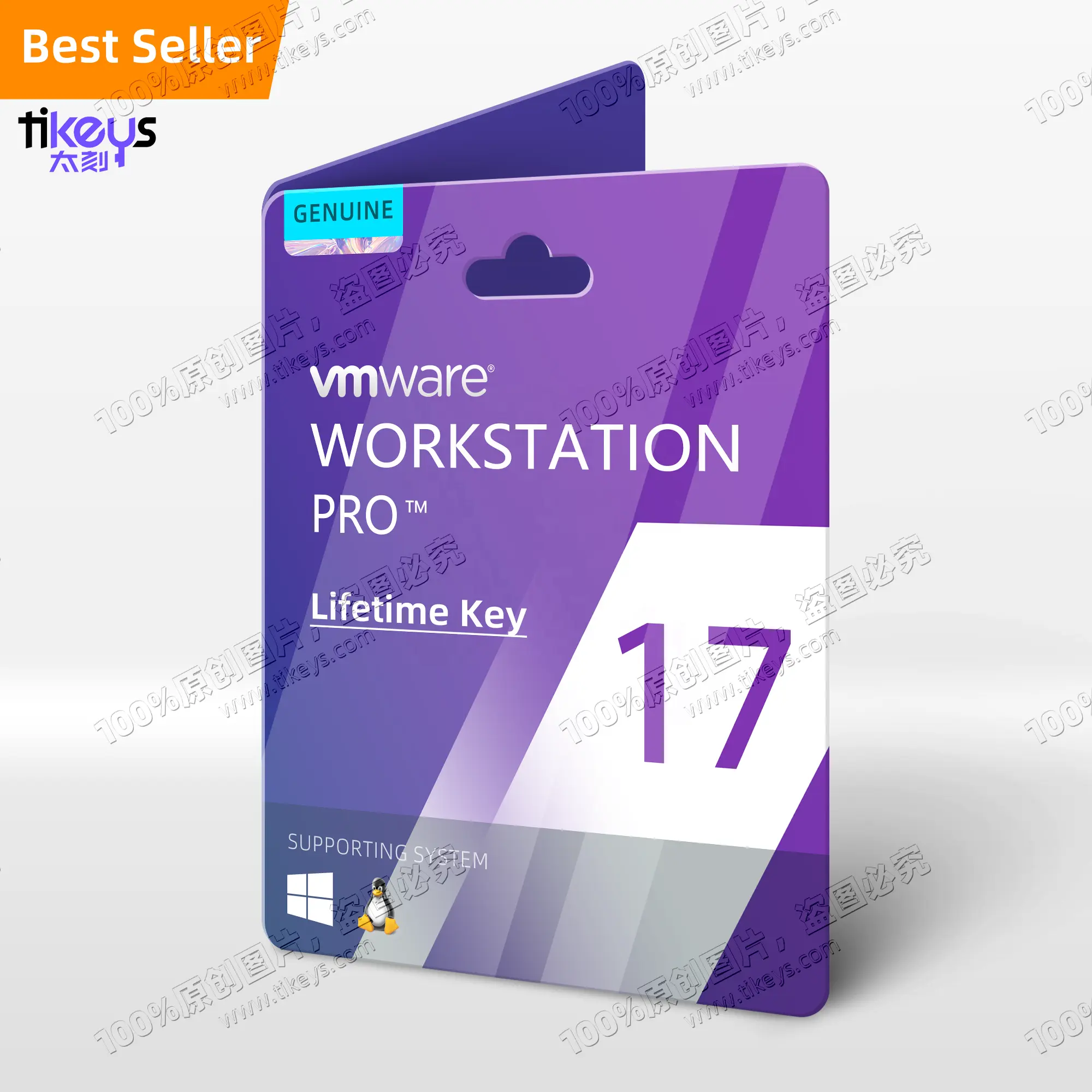 24/7 Online-E-Mail-Lieferung VMware Workstation Pro 17 für Windows/Linux-Lebensdauer Echte Lizenz schlüssel Software für virtuelle Maschinen