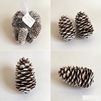 UMIN Cônes de pin séchés à pointe blanche 6-8cm 20 pièces Sac en filet Ornements rustiques en forme de cône de pin à suspendre Artisanat DIY écologique Noël