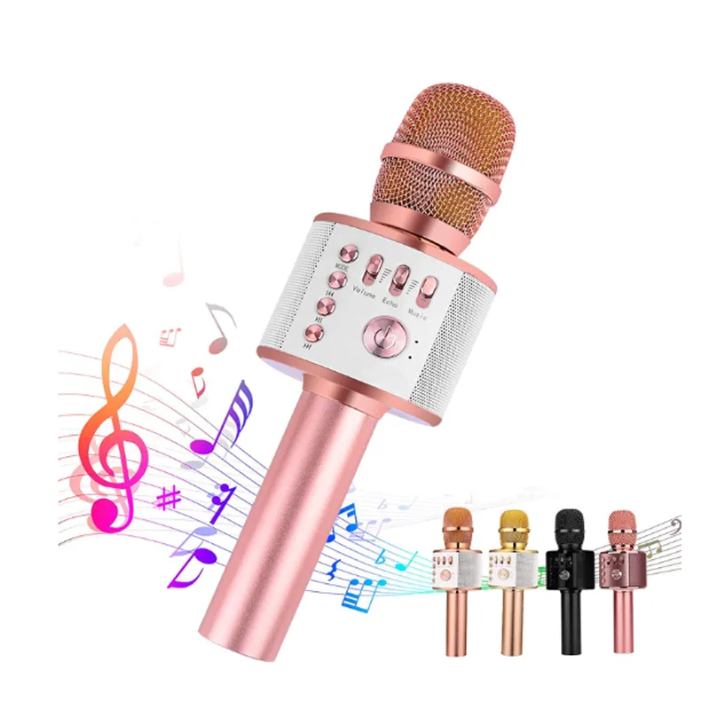 Taşınabilir ktv Karaoke kablosuz mikrofon Karaoke mikrofon Ws858 desteği TF kart hoparlör ile Karaoke led