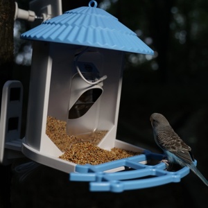 Mangeoire à oiseaux de qualité professionnelle écologique et étanche, parfaite pour le soin des oiseaux et une utilisation en extérieur - Product Image 3