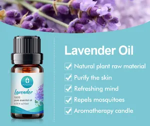 Minyak Lavender Alami Kualitas Tinggi Parfum Aromaterapi Populer Murni Murni 100% Minyak Esensial Lavender