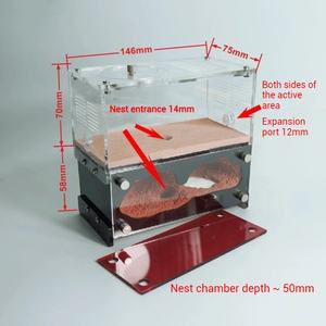 סדנת חוות חיות המחמד של טירת הנמלים מאפשרת תצפית קלה על ההתרבות של קן נמלים מבטון בעל קיבולת גדולה - Product Image 4