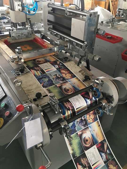 Automatic Roll to Roll Screen Printing Machine - 1 Year Warranty