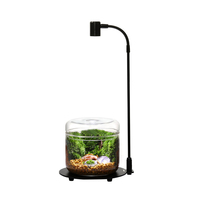 Nouvelle arrivée haute luminosité 3W LED spectre complet micro paysage croissance lumières pour bouteille écologique intérieur terrarium vase pot
