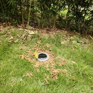 Système de lutte antiparasitaire souterrain en gros : Boîte d'appât anti-termites avec surveillance pour jardin, bâtiment et usage extérieur - Product Image 6