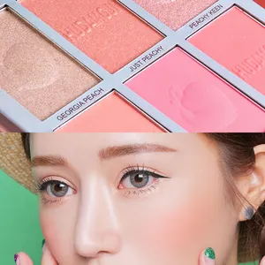 Fornecer rótulo pêssego 6 cores New Fashion Makeup Alta qualidade Maquiagem impermeável Blush Long Lasting Blush paleta