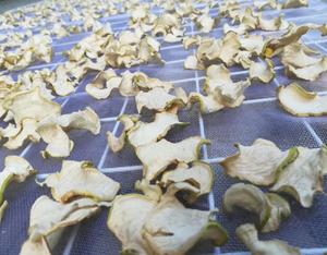 Trung Quốc cung cấp số lượng lớn tính năng kiềm rau củ cải rhizome khô brassica rapa var rapa gốc lát để bán - Product Image 6