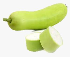 Exportateur indien de courge en bouteille FD pour aliments pour bébés, aliments santé et produits à base de plantes, disponible en vrac à prix compétitif - Product Image 3