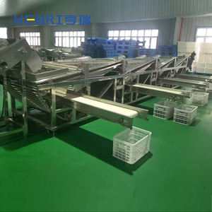 Macchina per smistare le dimensioni della selezione di frutta della passione di Mango alle verdure con aglio e carote alla cipolla - Product Image 4