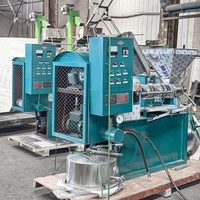 Machine à huile de tournesol 6LY-100 haute efficacité pour usage domestique et industriel, entièrement automatique avec contrôle numérique de la température