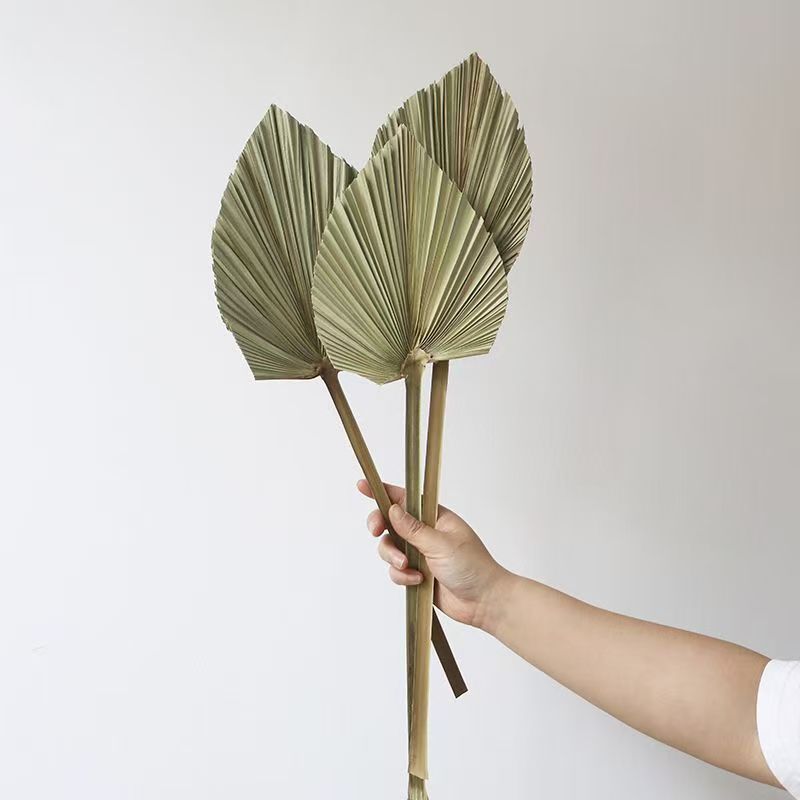 15cm * 40cm