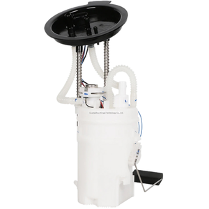 قطع غيار السيارات مجموعة مضخة الوقود 16117314806 16117285445 16117195465 16117204763 16117207599 16117207600 16117285443 - Product Image 4