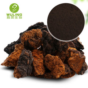 Высококачественные вкусные грибы Чаги замороженные грибы - Product Image 6