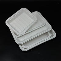 Plateau jetable écologique biodégradable en amidon de maïs 160 mm rectangulaire carré blanc pour le dîner