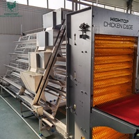 Système entièrement automatique Hightop pour élevage avicole, cages en batterie de type A en fil galvanisé pour poules pondeuses, à vendre