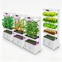 Machine de culture de légumes intelligente d'intérieur, système hydroponique multicouche avec humidification par pulvérisation et refroidissement pour balcon et ferme