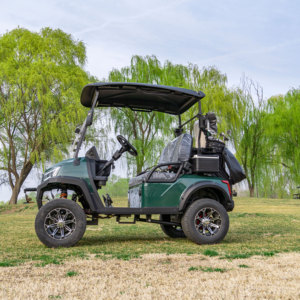 Carrito de Golf Eléctrico de 2 Plazas en Oferta, Motor de Alta Potencia de 3500W-7500W, 110 km de Autonomía, Carga Rápida, Certificado CE, DOT, GCC, EEC - Product Image 4