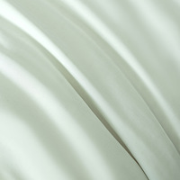 Ensemble de literie 4 pièces en fibre de bambou, antibactérien, couleur unie, housse de couette de luxe, ensemble de draps, taies d'oreiller, ensemble de literie