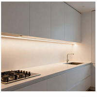 Éclairage LED moderne pour armoires avec détecteur de mouvement, encastré, à intensité variable, pour cuisine - Éclairage intérieur