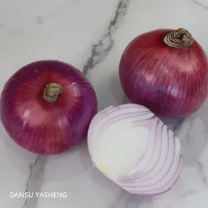 Red onion yellow onion new crop fresh onion wholesale