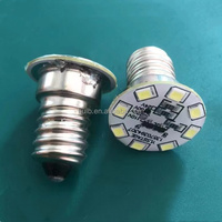 E14 2835 8SMD LED Lampe d'amusement AC 24V 60V 110V 220V Décoration foraine Pixel Led Amusement Led Point Lights