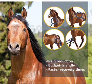 Appareil professionnel de thérapie magnétique PEMF pour chevaux, boucle PEMF pour soulager la douleur des chevaux, thérapie par champ électromagnétique physique - Product Image 3