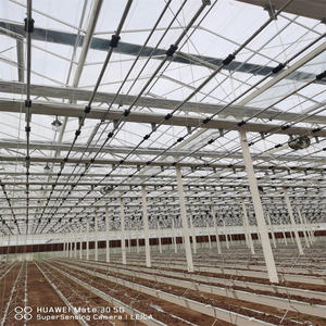 8X30M Gegalvaniseerde Stalen Buiskas | Commerciële Kweektunnel Met Plastic Folie Voor Groente-En Gewasteelt - Product Image 4