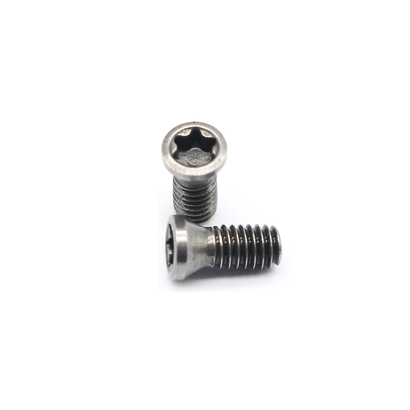 Plum M2.5x6 CNC Tool Screws - Stainless Steel Machine Screws for