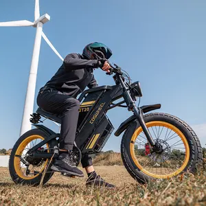 UE EUA armazém gordura pneu bicicleta 20 polegadas cidade elétrica bicicletas para adultos 1000w fatbike coswheel gt20 ebike off road mountain e-bike