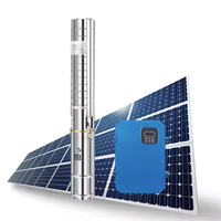 Pompe solaire hybride CA/CC haute performance 1000W, tête maximale de 35m, débit de 14,2 m³/h, protection automatique du fonctionnement à sec, moteur Franklin
