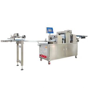 Linea di Produzione Automatica Longyu per <span class=keywords><strong>Pizza</strong></span> e Frutta, Alta Capacità 80-150 pz/min, 380V/220V, 1 Anno di Garanzia - Product Image 3