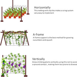 Hochwertiges Gitter-&lt;span class=keywords&gt;&lt;strong&gt;PP&lt;/strong&gt;&lt;/span&gt;-Kletterpflanzen-Stütz netz, Gurken netz - Product Image 6