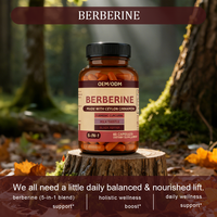 Capsules de Berbérine 5-en-1 : Cannelle de Ceylan, Curcuma, Chardon-Marie, Poivre Noir pour Adultes |   OEM/ODM 60 Capsules Diététiques