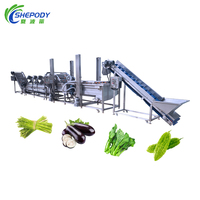 Volautomatische Industriële Schone Wortelgroene Wasverwerkingslijn/Bevroren Fruitgroente Productielijn