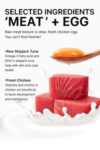 <span class=keywords><strong>Aozi</strong></span> อาหารเปียกสำหรับแมวและลูกแมวแบบธรรมชาติถุงใส่อาหารเปียกสำหรับสุนัขพร้อมกลิ่นไก่วัสดุเนื้อจากธรรมชาติ - Product Image 4
