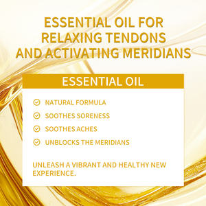 Plester obat panas Herbal, pereda penetrasi dalam untuk nyeri otot bahu & leher & perawatan nyeri sendi - Product Image 2