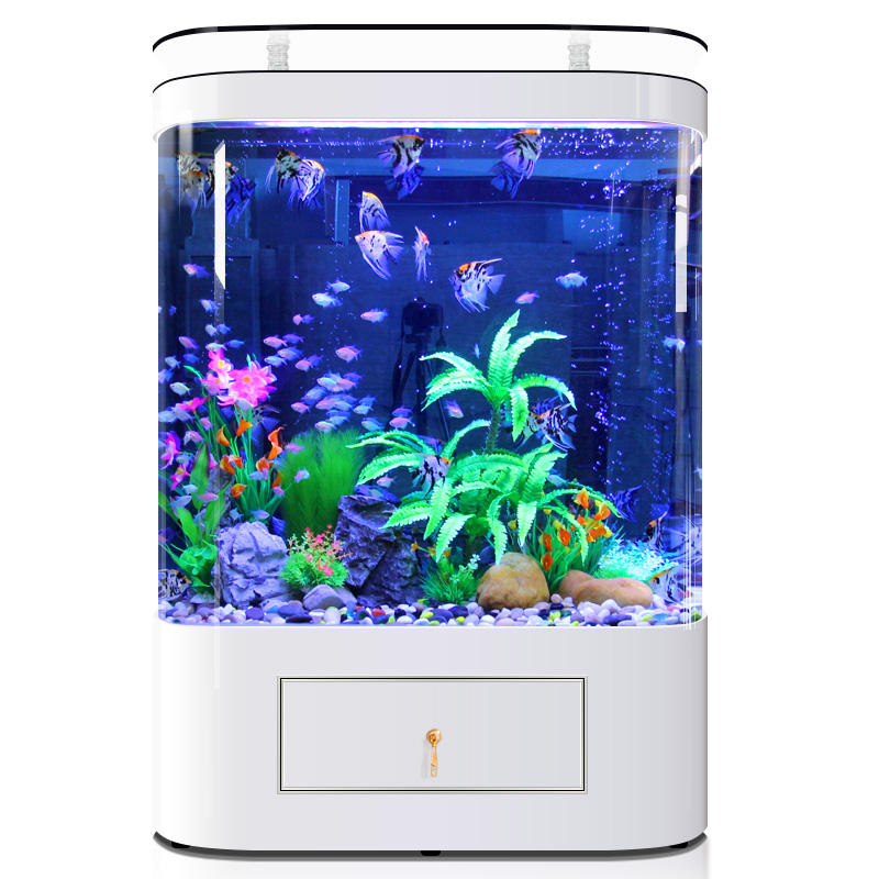 Serbatoio Fotografico Per Pesci WizeFolk - Acrilico Trasparente, 16x3,5x6 Cm, Per Pesca Ed Esposizione - Foto 2