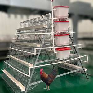 Orta doğu için kendi fabrika ağır müşteri memnuniyeti garantili açık tavuk kümesleri - Product Image 1