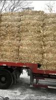 Machine à compresser le riz et la viande, pour emballer les aliments