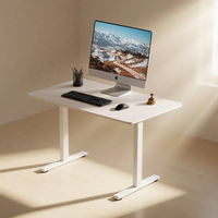 Bureau debout électrique moderne en bois à hauteur réglable avec un seul moteur, version e-commerce, table en option
