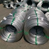 0.04mm 0.8mm 1mm 0.13mm Quantité principale laminée à chaud Corde en acier inoxydable 304 316 310 Fil en acier inoxydable