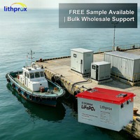 Batería de Ciclo Profundo LiFePO4 51.2V 200AH 10KW Grado A Marina RS485 BMS Inteligente Terminal M8 6000 Ciclos CE RoHS IP67 Servicio OEM ODM
