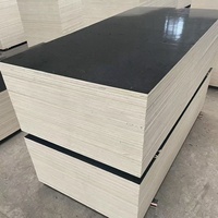 Contreplaqué stratifié le plus vendu 5mm 9mm 12mm 15mm 18mm 1220*2440 Contreplaqué de construction en bouleau, peuplier, tilleul