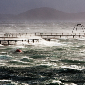 Cage en <span class=keywords><strong>filet</strong></span> HDPE circulaire <span class=keywords><strong>de</strong></span> fournisseur d'or-<span class=keywords><strong>Prix</strong></span> direct d'usine, qualité supérieure pour les pisciculteurs mondiaux - Product Image 4