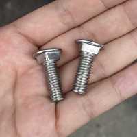 Boulon de chariot à tête ronde et col carré en acier inoxydable 304 316 DIN603 pour l'ingénierie offshore et les projets extérieurs