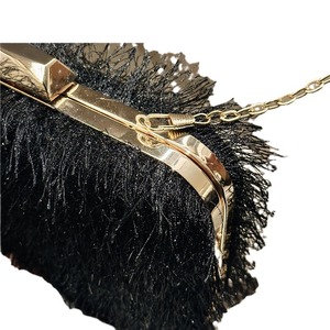 2025 nouveau Offre Spéciale élégant gland plume personnalisé pochettes métal loquet femmes sacs à main pour pochette sacs de soirée - Product Image 6