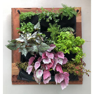 Jardinière murale verticale étanche d'intérieur à 12 poches - Product Image 4