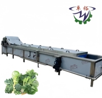Automatische temperatuurregeling fruit- en groenteverblanckingsmachine sterilisatie kleurbescherming bleek- en strijkmachine